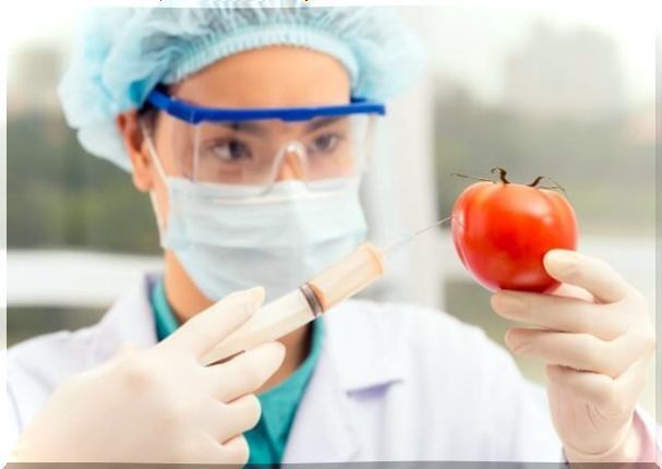 3 easy ways to tell GMO food from normal