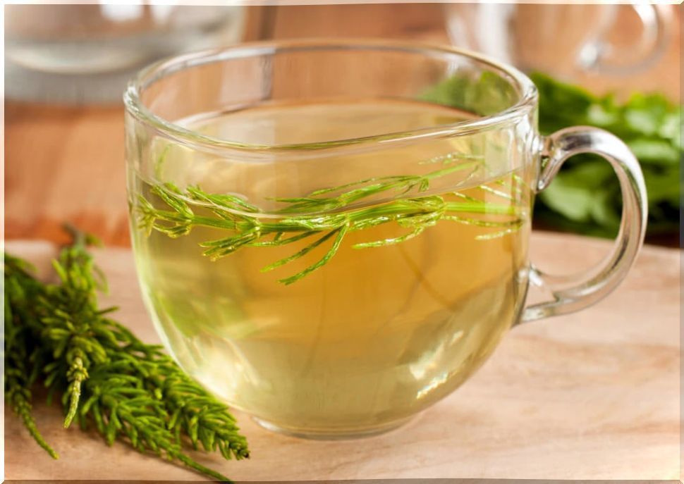 Horsetail tea.