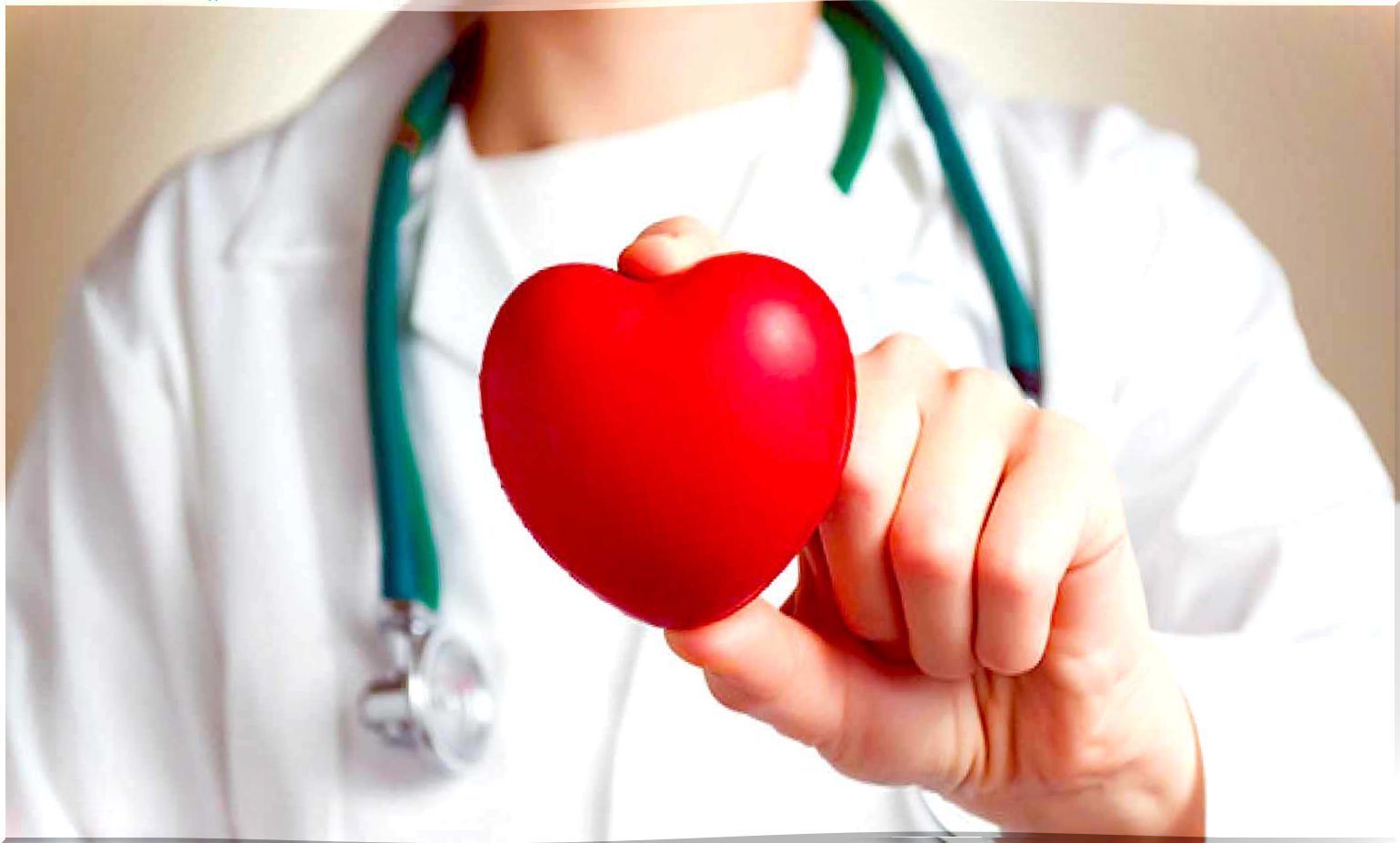 Doctor holding an artificial heart