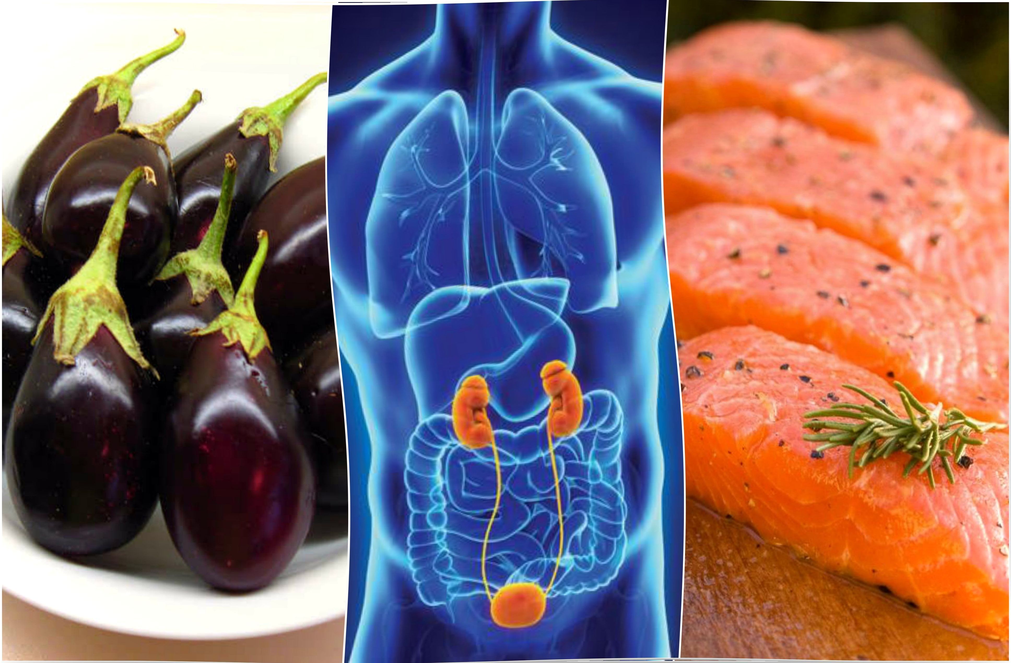 7 foods that help you keep your kidneys healthy