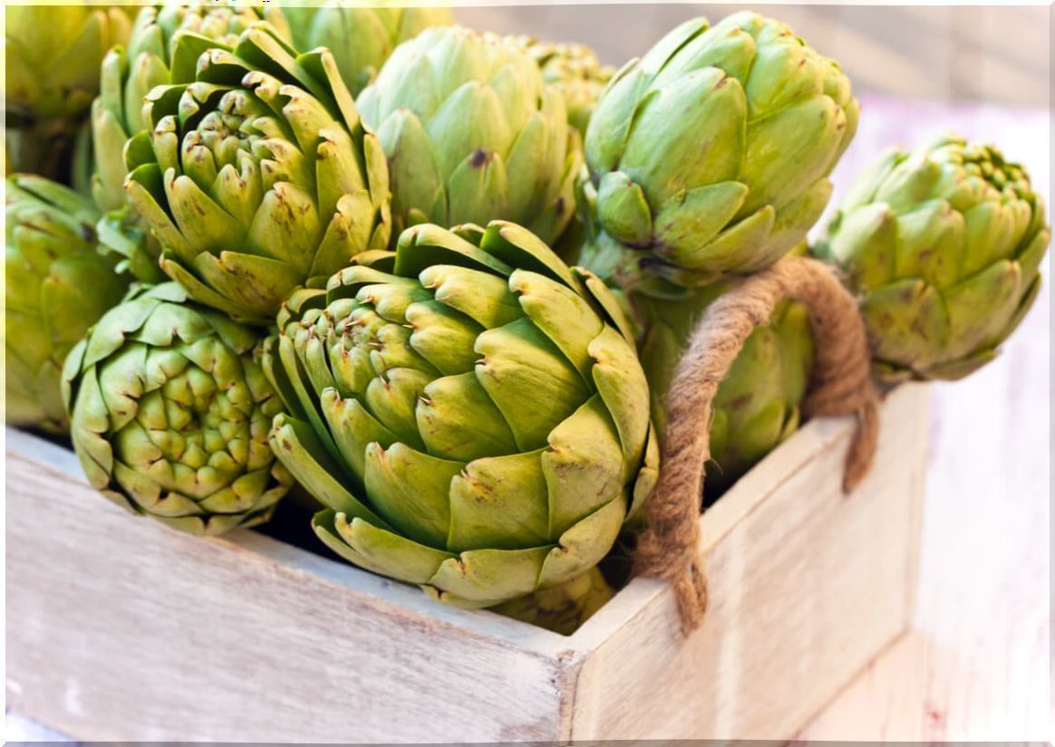 Why are artichokes gassy?