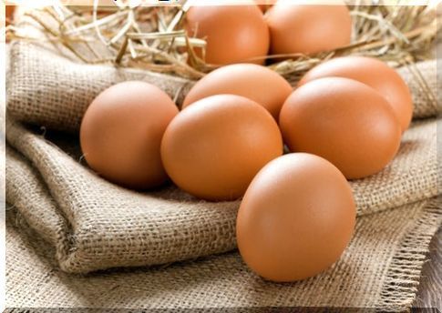 eggs calcium-rich foods