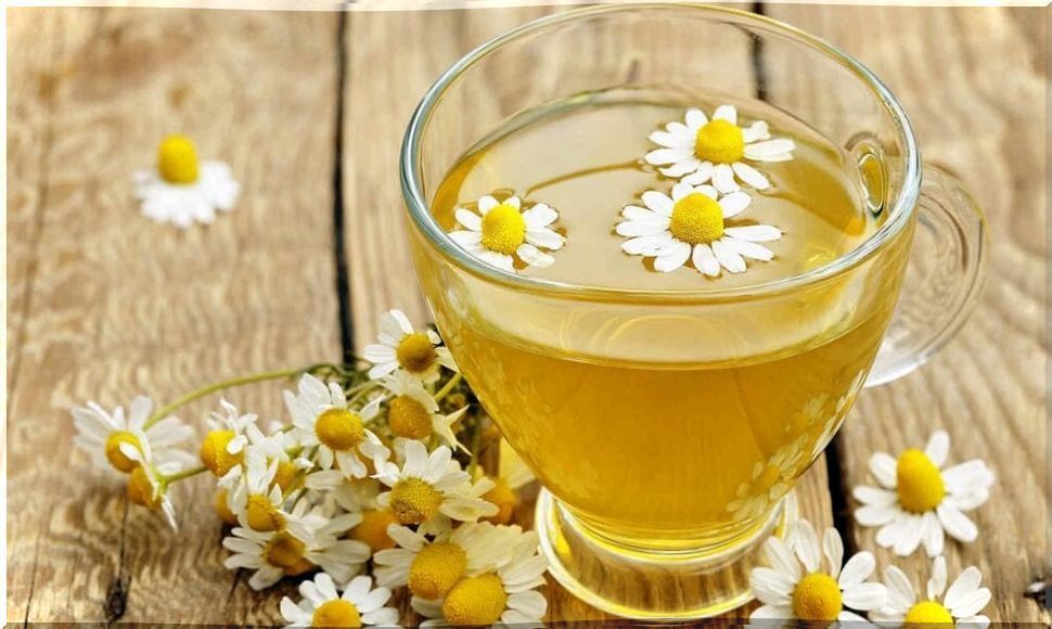 tea-and-chamomile-flowers