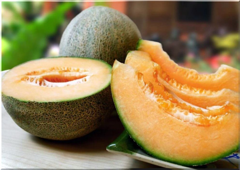 Low calorie melon slices 