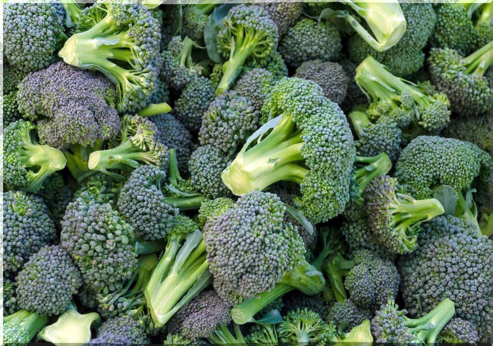 What is the correct way to eat broccoli?