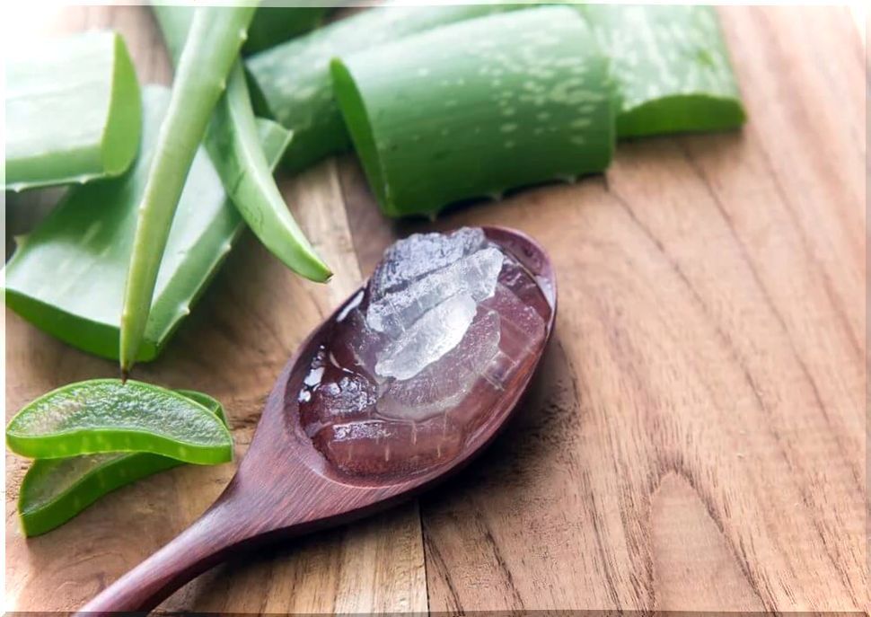 Aloe vera fights slow digestion