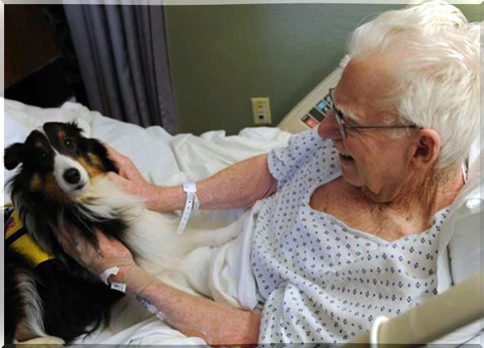 Patient in a hospital with her pet