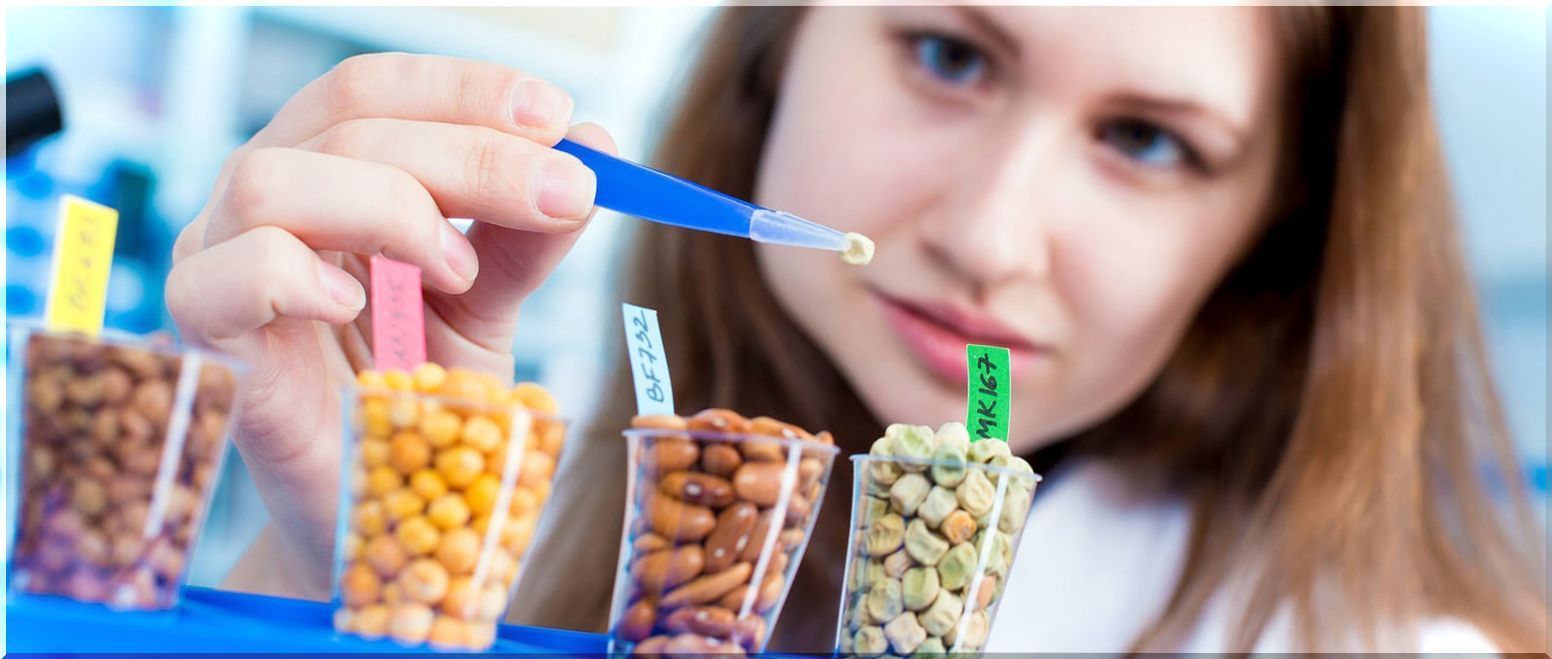 Woman conducting a food safety test on a series of legumes.