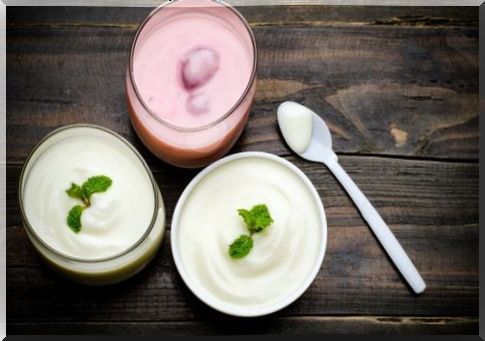 Yogurt, a great option if you don't digest milk well