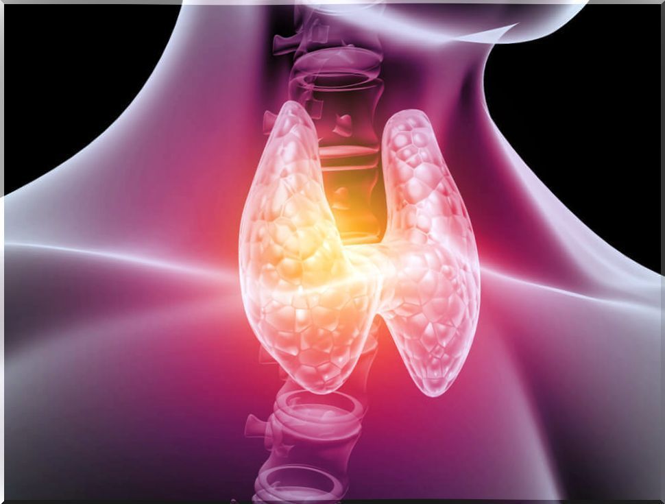 The thyroid gland.