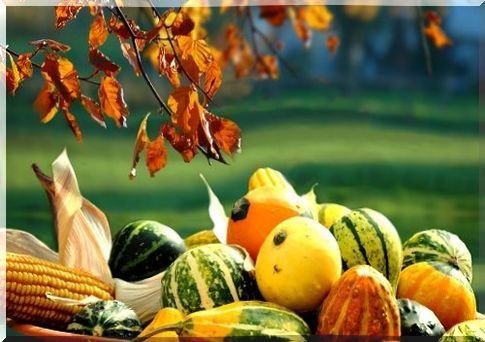 Autumn fruits and vegetables