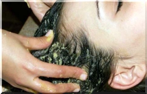 Egg to reduce hair loss