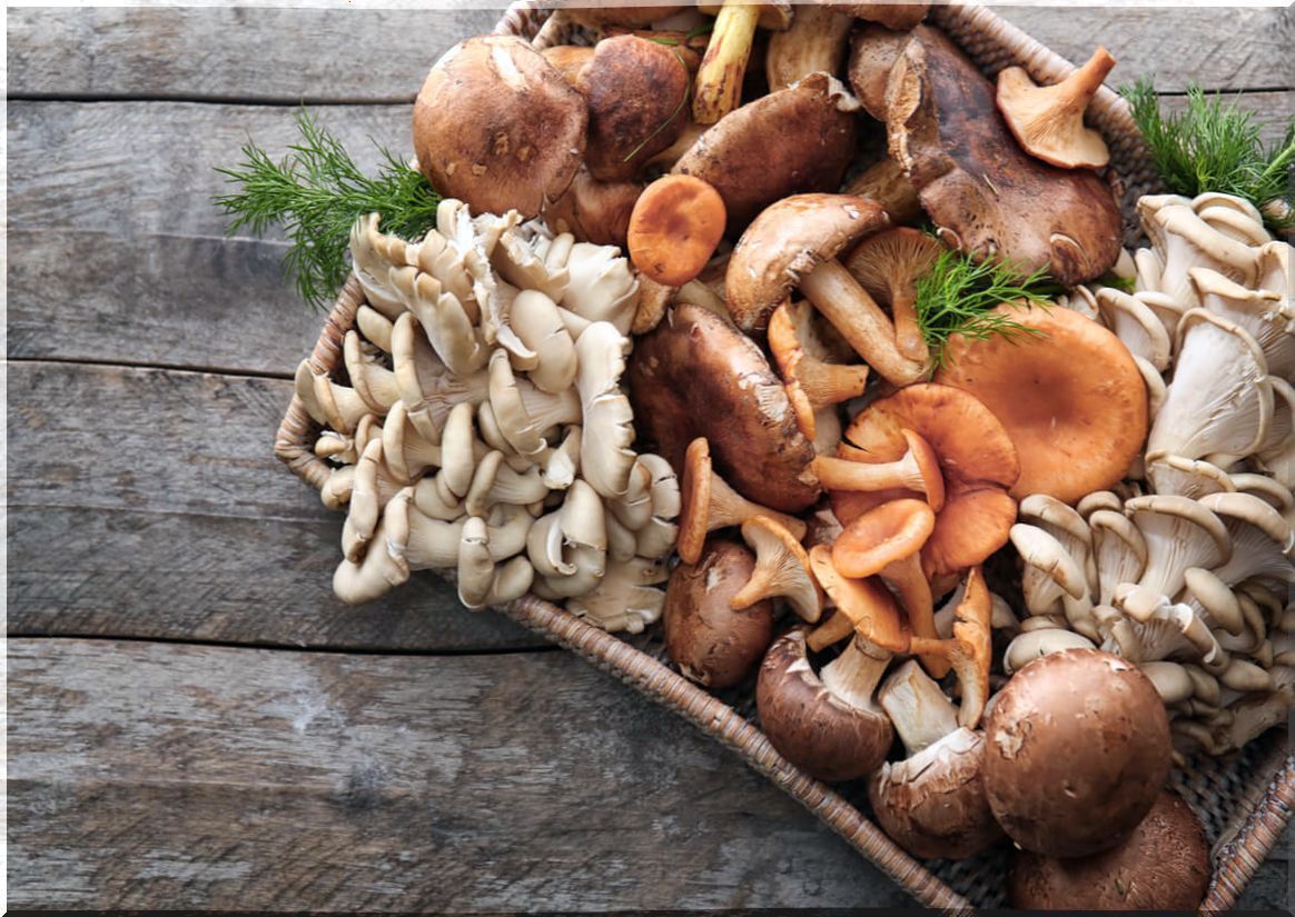 Different types of mushrooms.