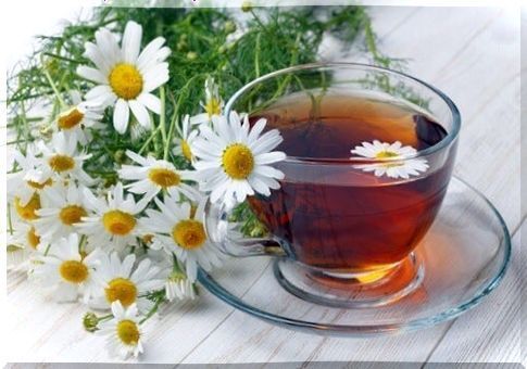 Chamomile for fatigue