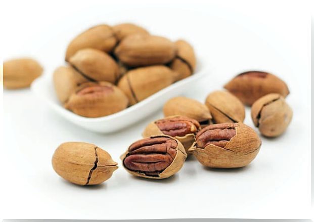 Pecans are a type of nut.