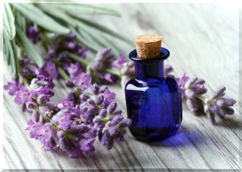 Lavender essential oil for better sleep