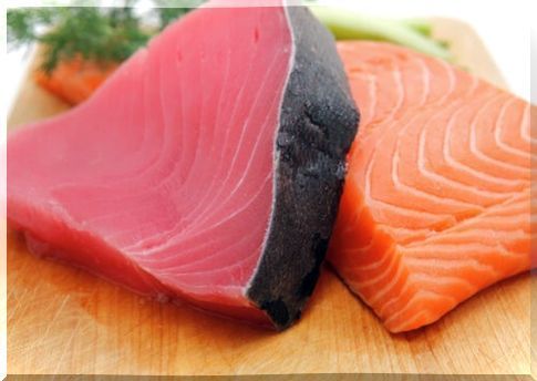 Fish fillet like salmon has great nutritional properties