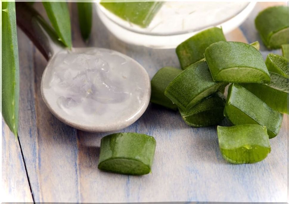 Aloe Vera or Aloe Vera soap