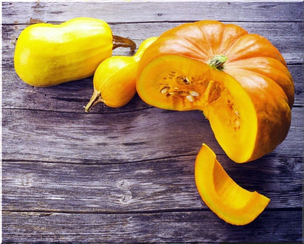 Pumpkins of different kinds