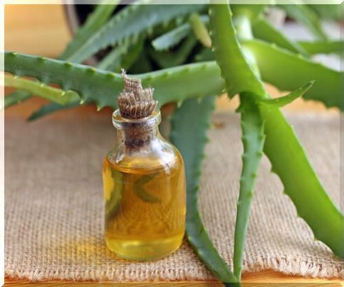 Argan-oil-and-aloe-vera